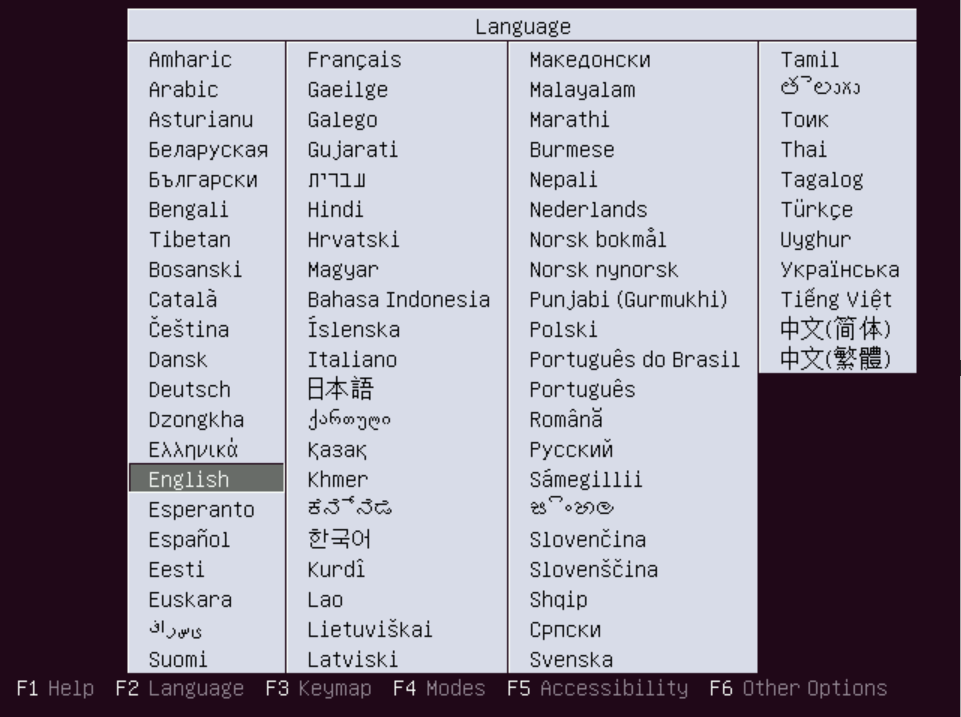 Select Language (Installer)