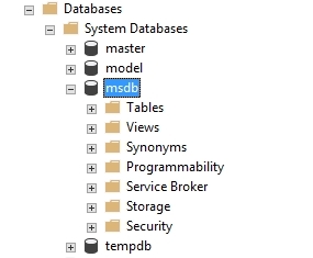 System Databases: MSDB